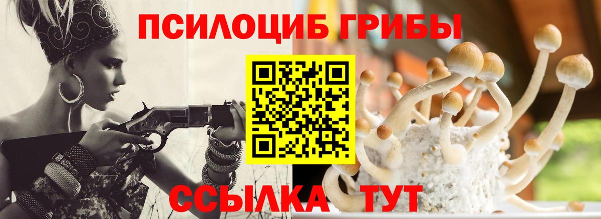 Галлюциногенные грибы GOLDEN TEACHER  Псилоцибиновые грибы мицелий  цены наркотик  Вход с VPN  Спасск-Дальний 